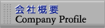 ЊTv