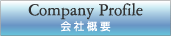 ЊTv